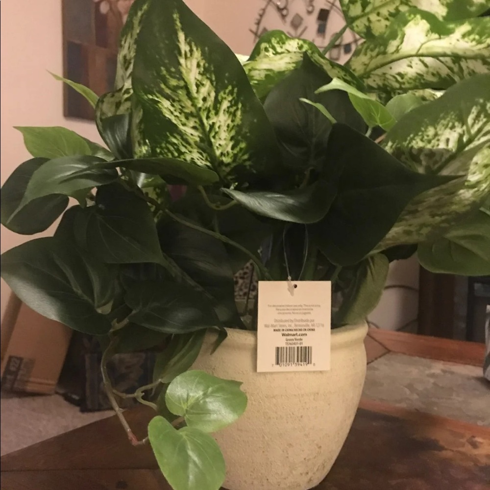For decorative indoor use Ivy Mixed Pot